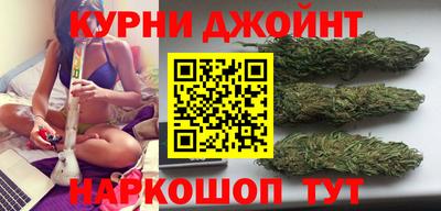 индика Бийск
