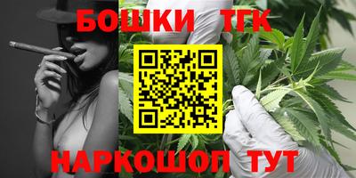 индика Бийск