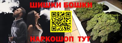 индика Бийск
