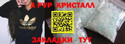 индика Бийск