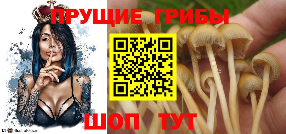 Галлюциногенные грибы прущие грибы  Вход с VPN  Златоуст 