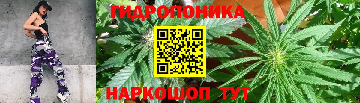 Конопля OG Kush Златоуст